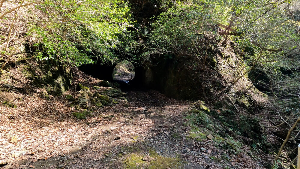 フリー野営①のいちばん奥にある、1つめのトンネルです。