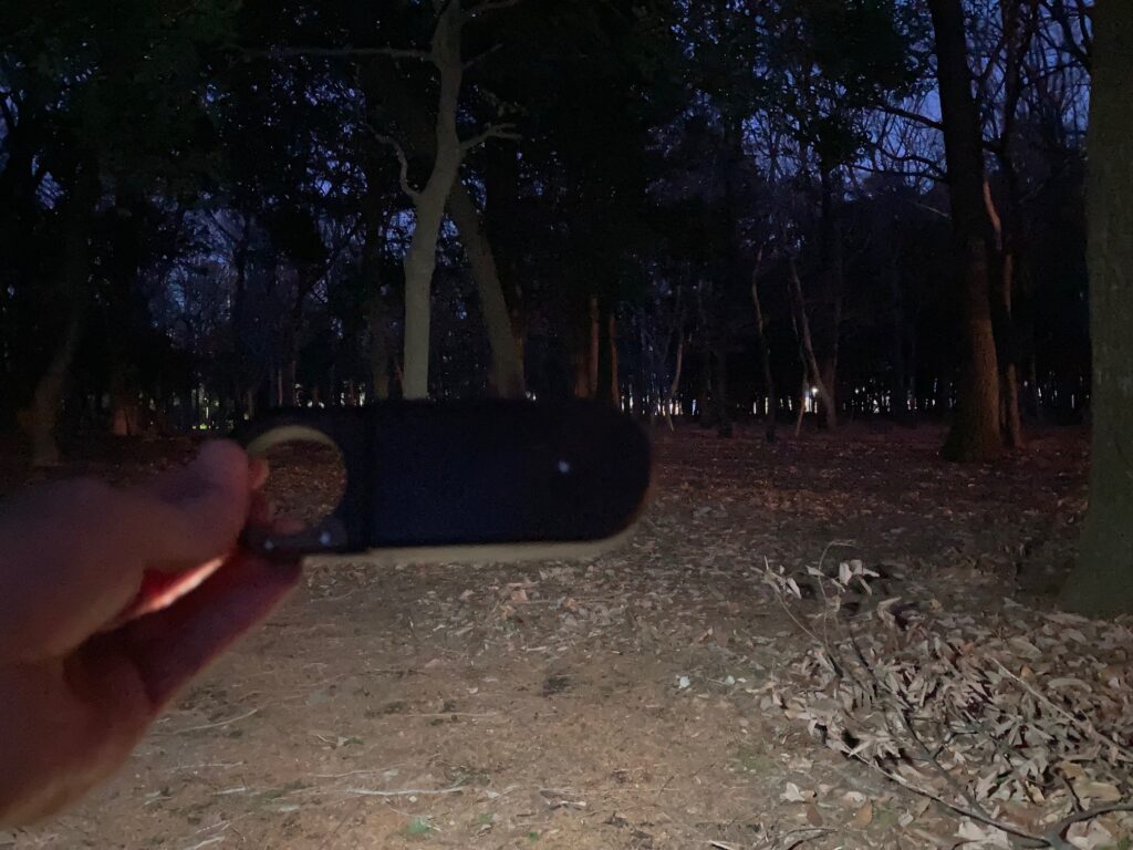 同じ場所をCOBライトで照らしたものです。