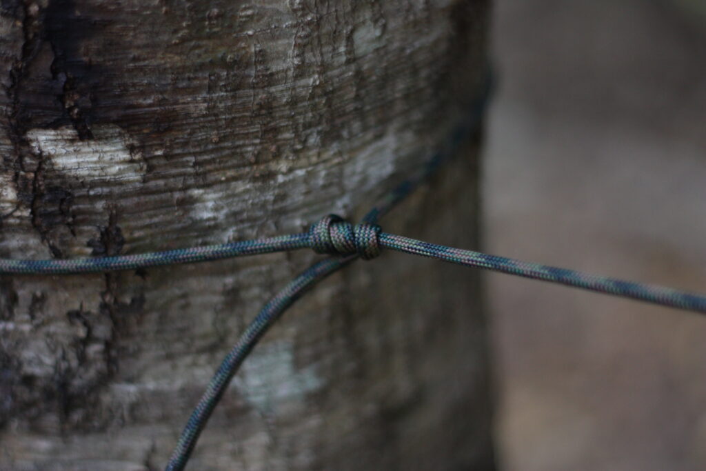 筆者が木にロープを結んでいる。