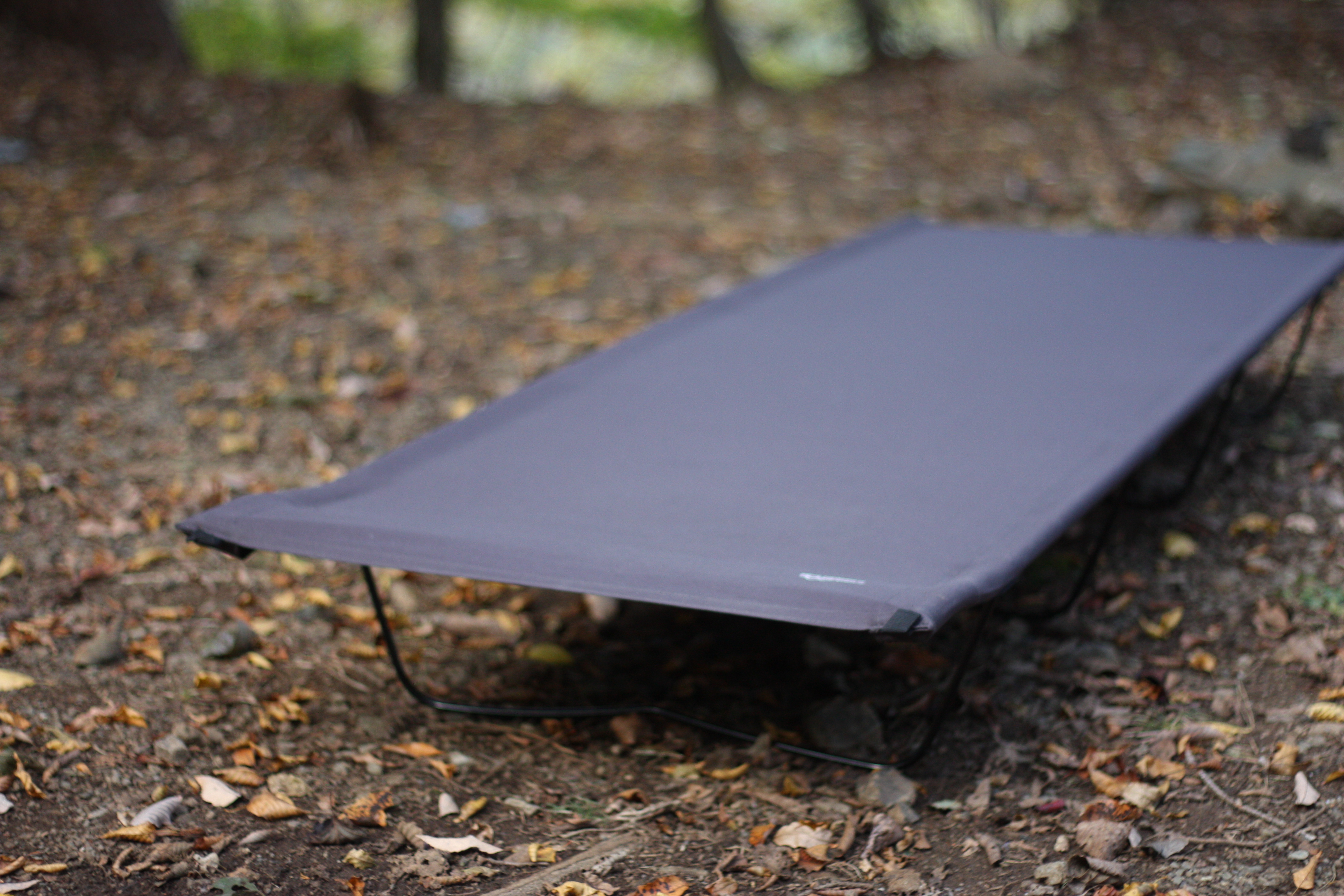 筆者のローコット