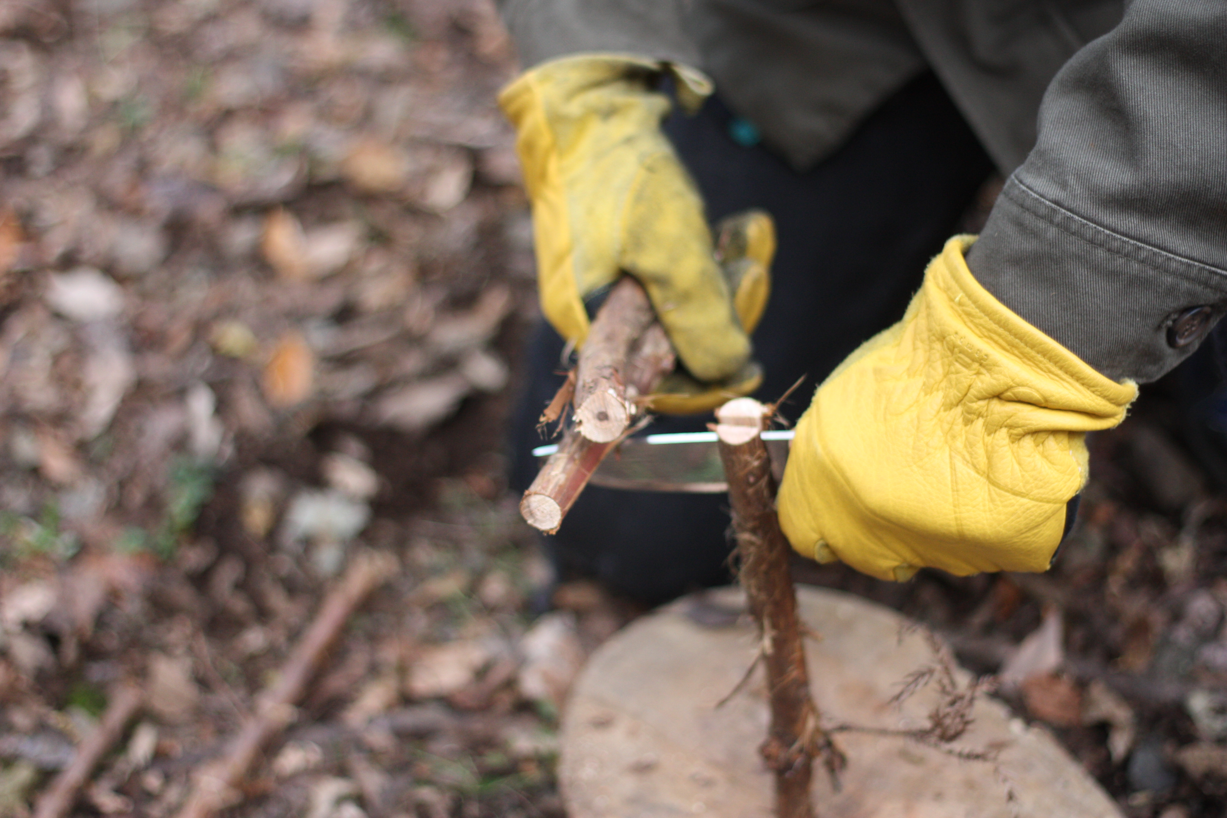 筆者がバトニングをしている。