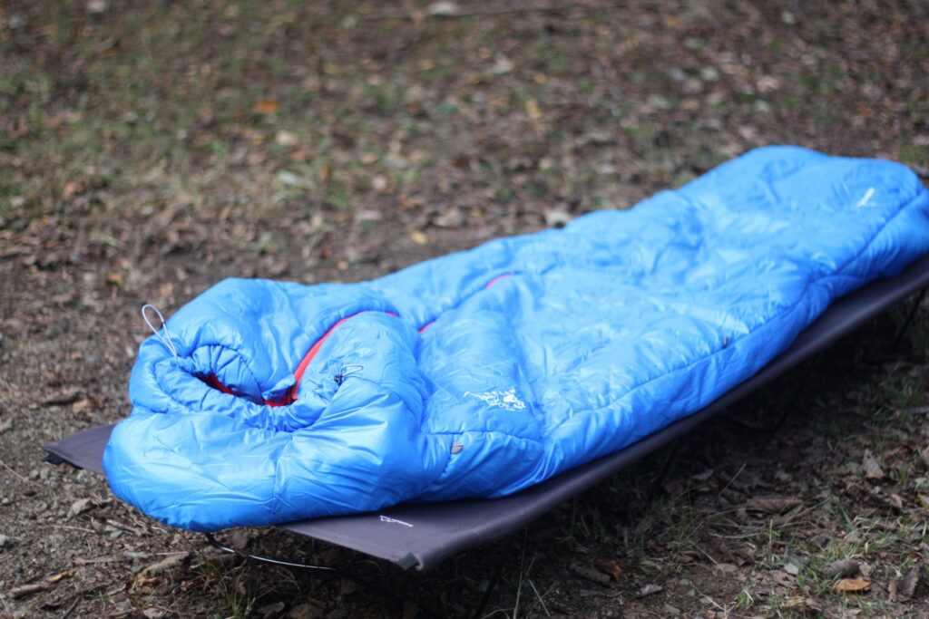 筆者のローコット