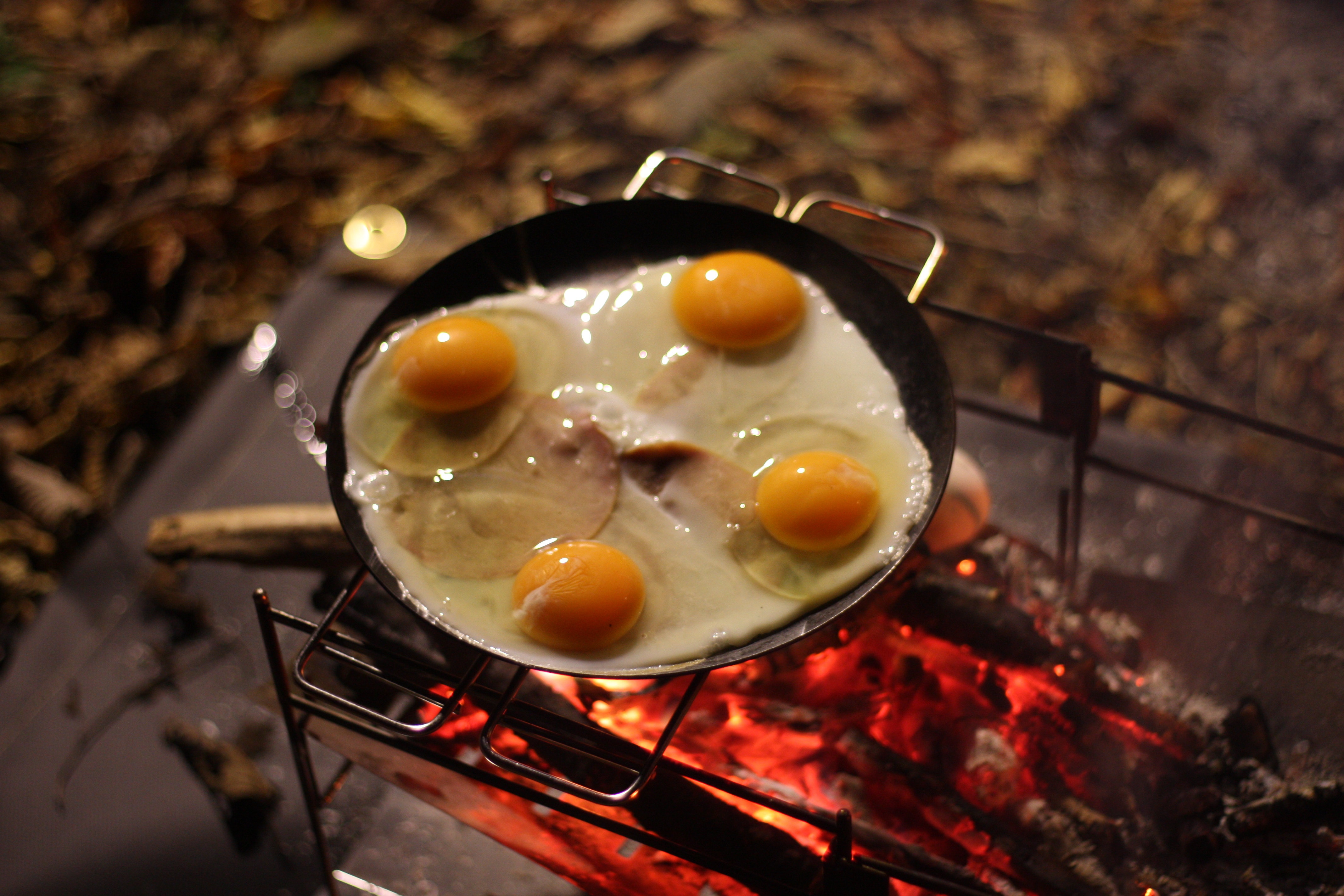 筆者のタキビズムフライパンディッシュ