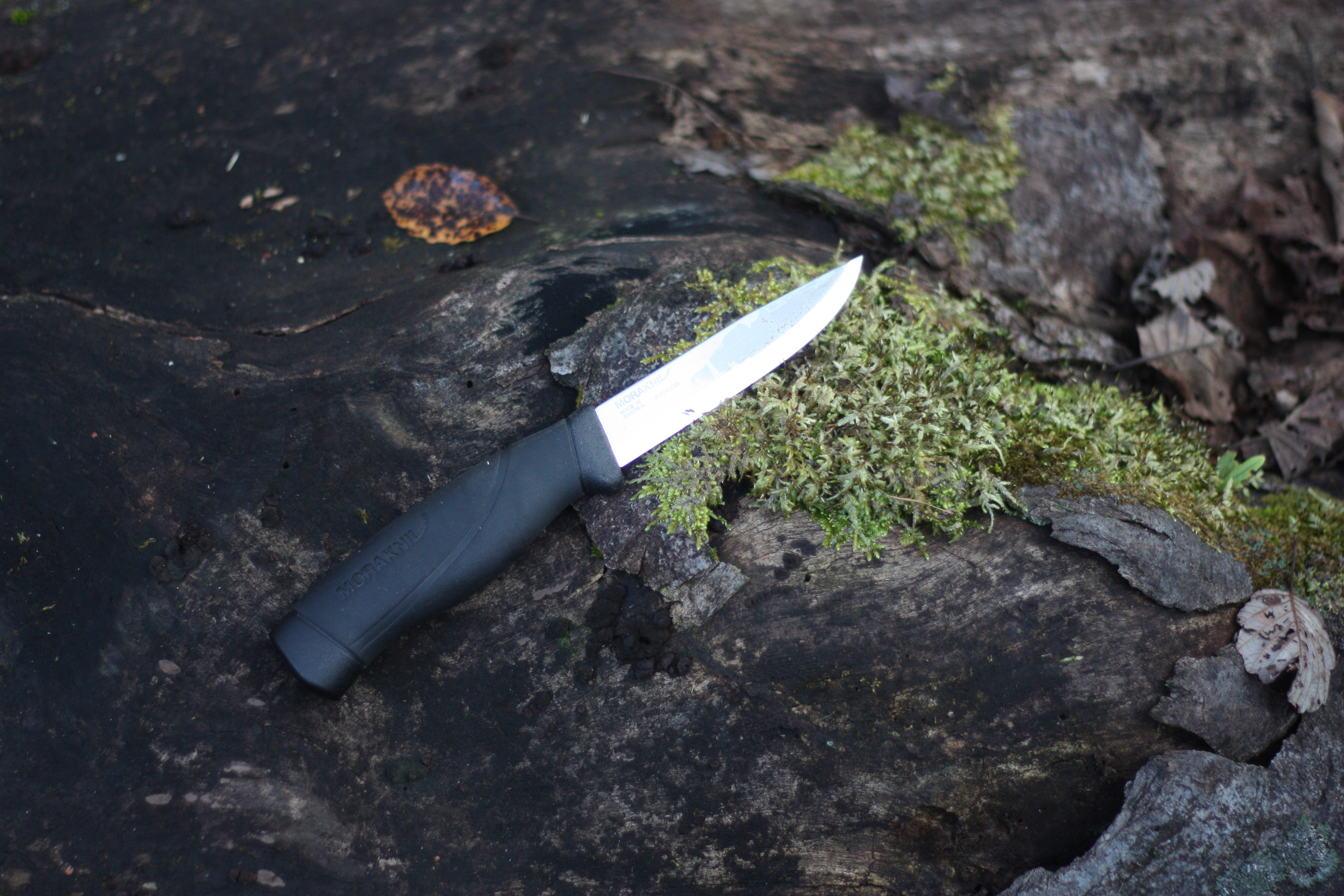 筆者のモーラナイフ