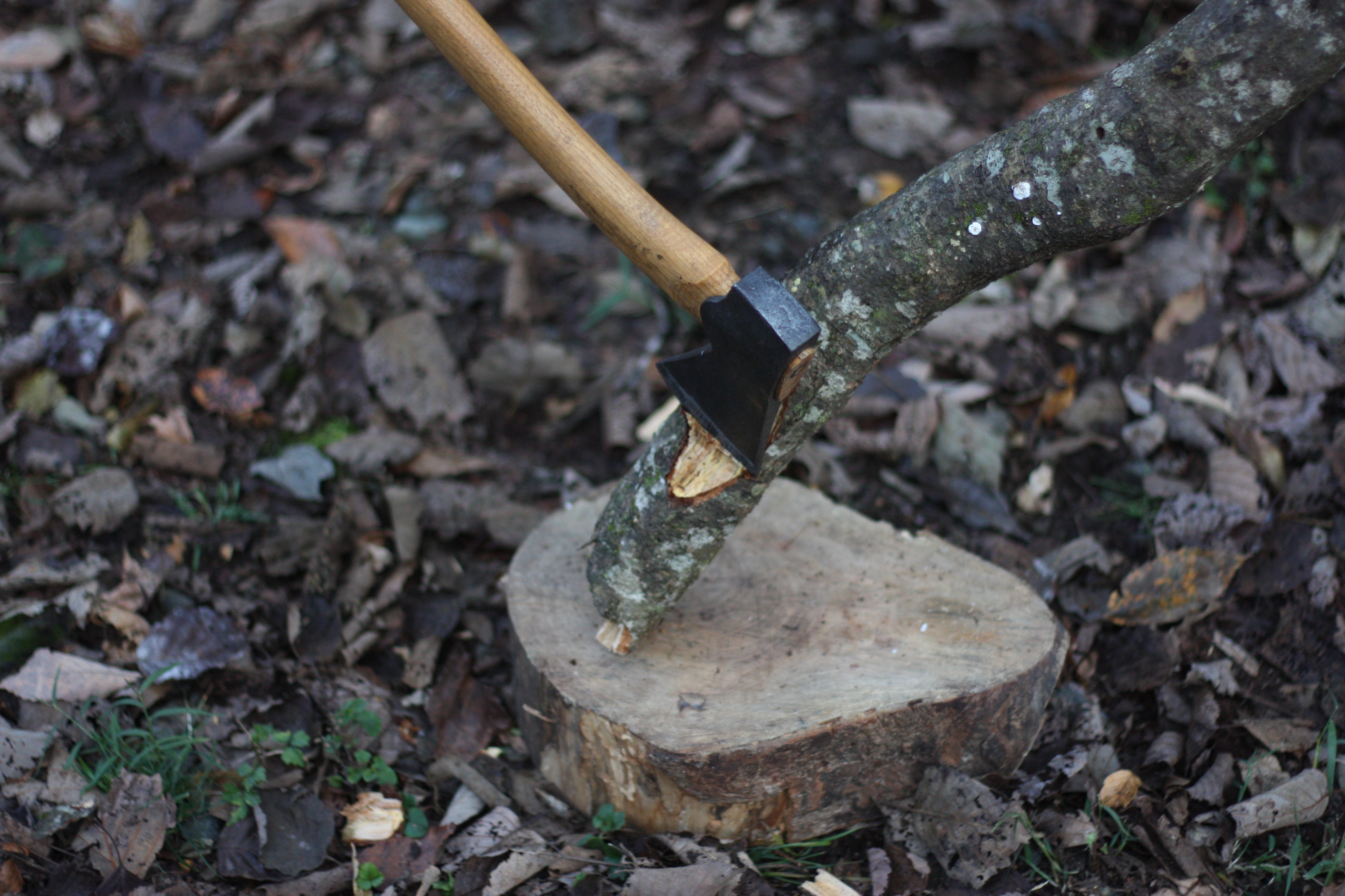 筆者の手斧