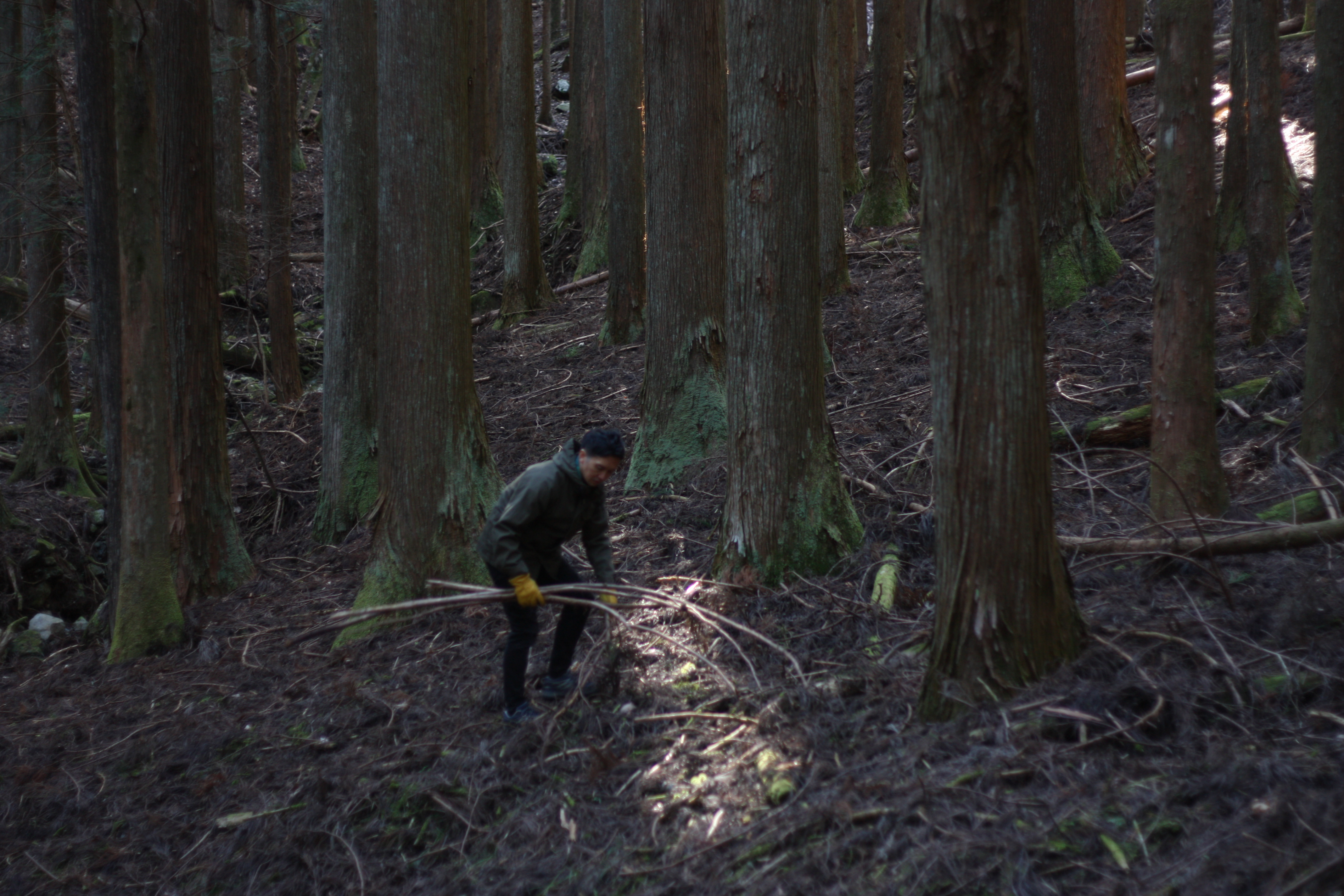 筆者が森の中で、木を拾っているところ