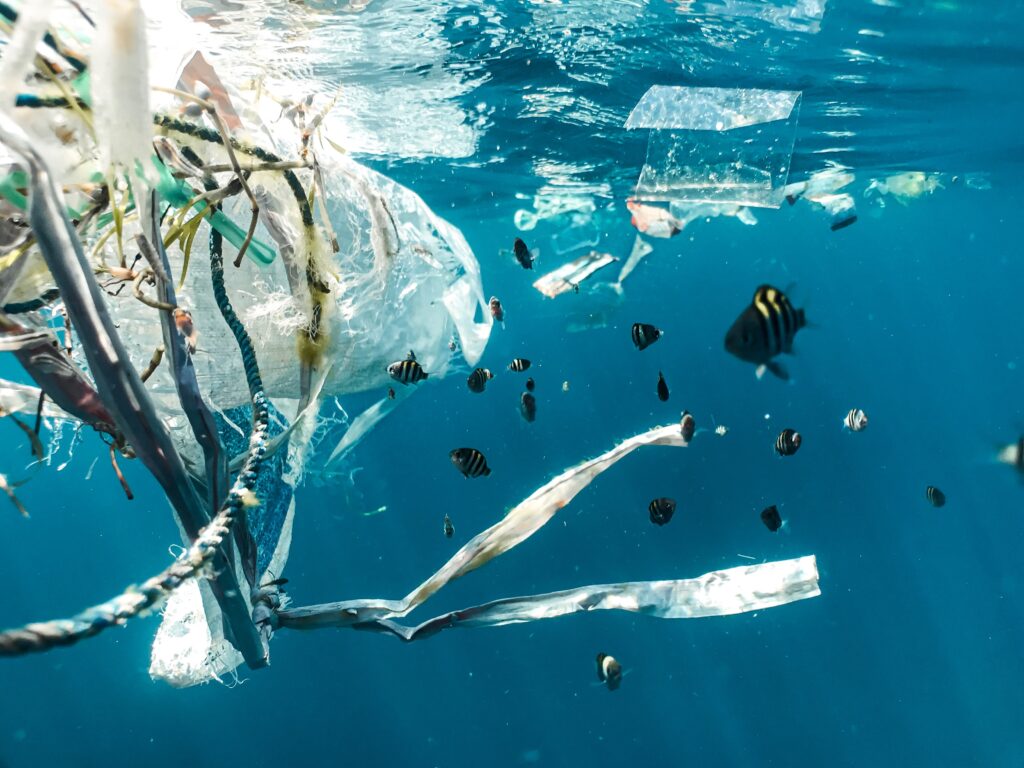 環境問題、海洋プラスチック問題